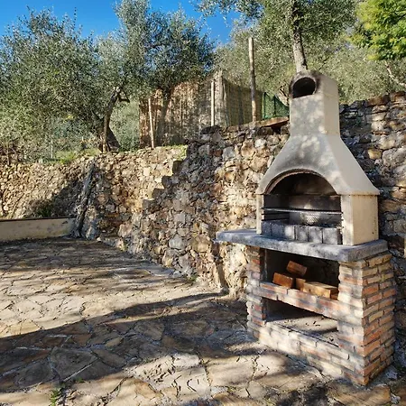 Casasse Olivo *