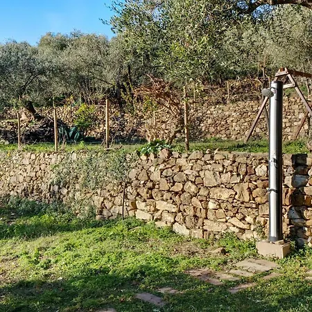 Casasse Olivo Imperia